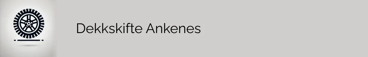 Dekkskifte Ankenes