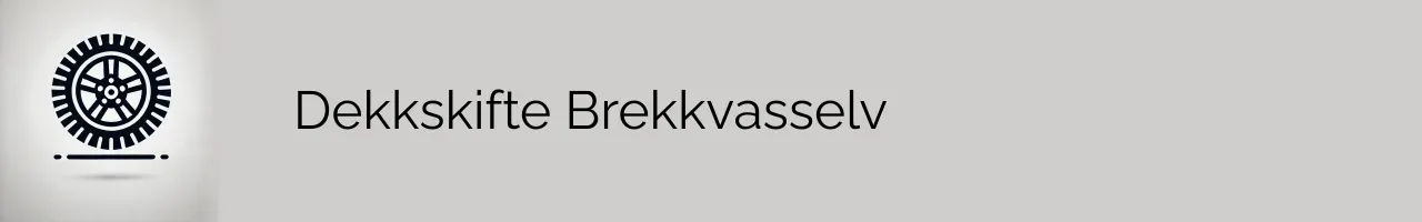 Dekkskifte Brekkvasselv