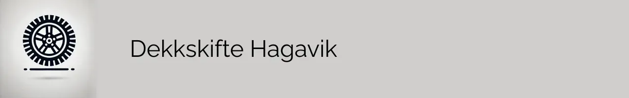 Dekkskifte Hagavik