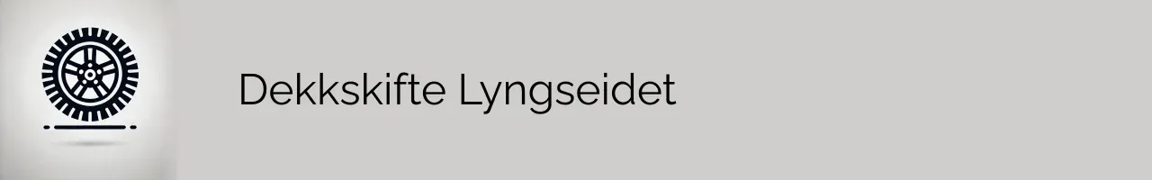 Dekkskifte Lyngseidet