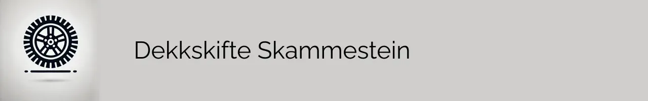 Dekkskifte Skammestein