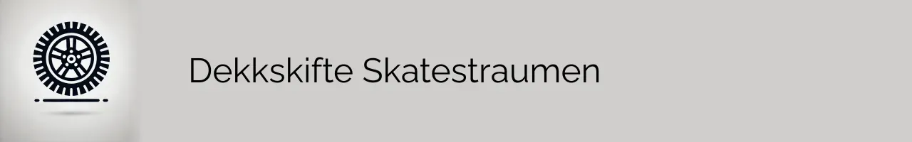 Dekkskifte Skatestraumen