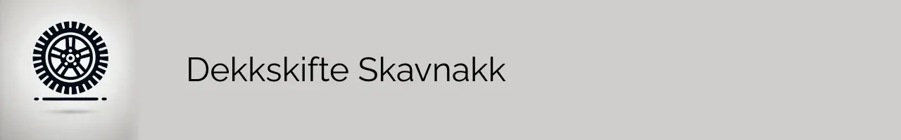 Dekkskifte Skavnakk