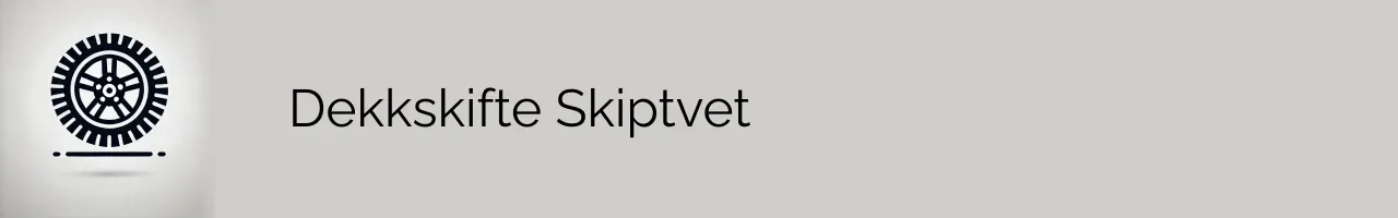 Dekkskifte Skiptvet