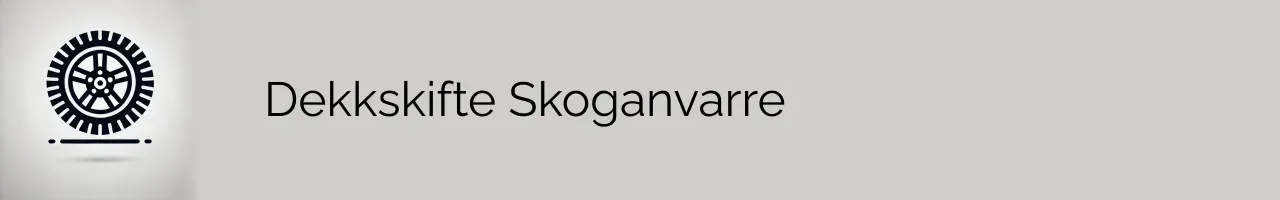 Dekkskifte Skoganvarre