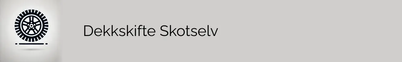 Dekkskifte Skotselv